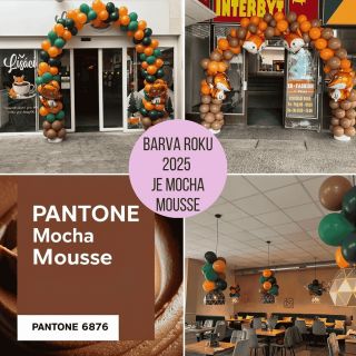 🎈 Barva roku 2025 od Pantone je Mocha Mousse! 🎨 A protože jdeme s trendy, použila jsem ji na výzdobu nové herny Lišáci v...